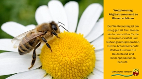 Bienen&nbsp;&copy;&nbsp;Samtgemeinde Horneburg