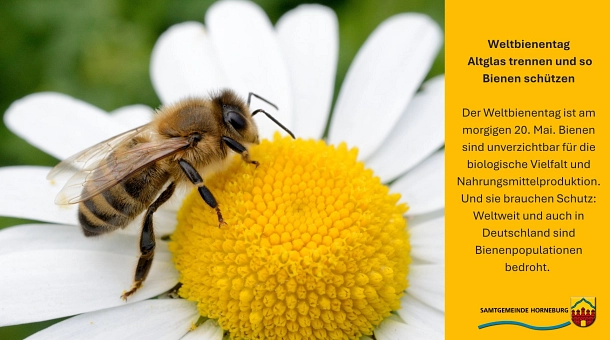 Bienen