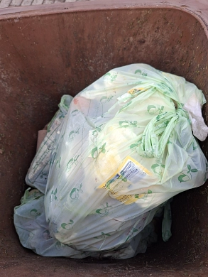 Plastik und Biobeutel – das hat in der Biotonne nichts zu suchen.