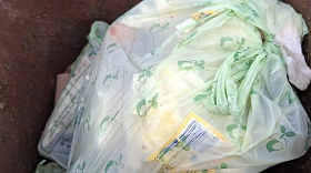 Plastik und Biobeutel – das hat in der Biotonne nichts zu suchen. Plastik und Biobeutel – das hat in der Biotonne nichts zu suchen.